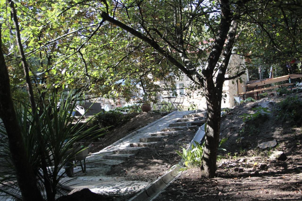 Villa Bosque Dos Amieiros à Marco de Canavezes Extérieur photo