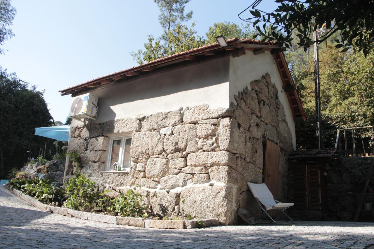 Villa Bosque Dos Amieiros à Marco de Canavezes Extérieur photo