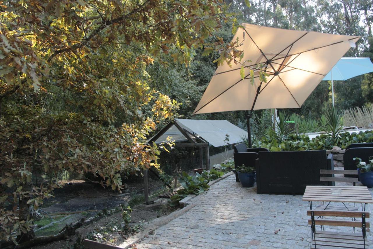 Villa Bosque Dos Amieiros à Marco de Canavezes Extérieur photo