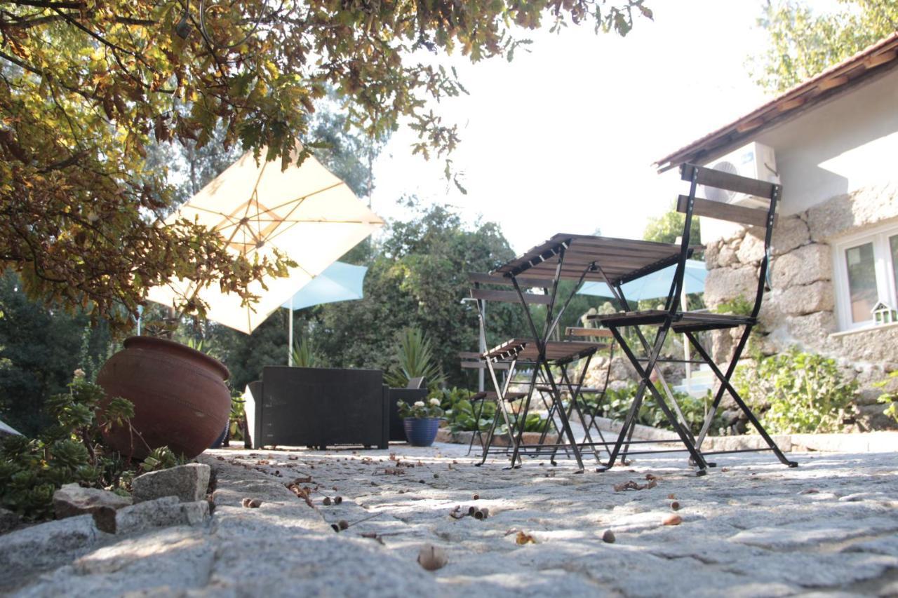 Villa Bosque Dos Amieiros à Marco de Canavezes Extérieur photo