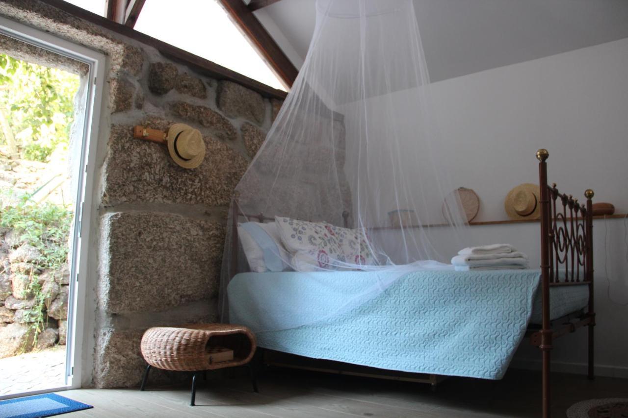 Villa Bosque Dos Amieiros à Marco de Canavezes Extérieur photo